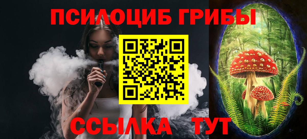 Галлюциногенные грибы мухоморы  продажа наркотиков  Нерюнгри  Вход с VPN 